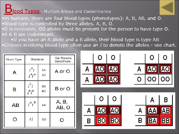 Blood Types - Multiple Alleles and Codominance • In humans, there are four blood