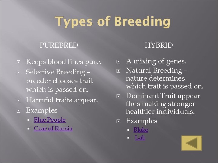 Types of Breeding PUREBRED Keeps blood lines pure. Selective Breeding – breeder chooses trait