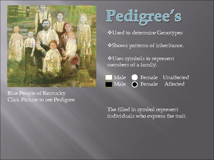 Pedigree’s v. Used to determine Genotypes v. Shows patterns of inheritance. v. Uses symbols