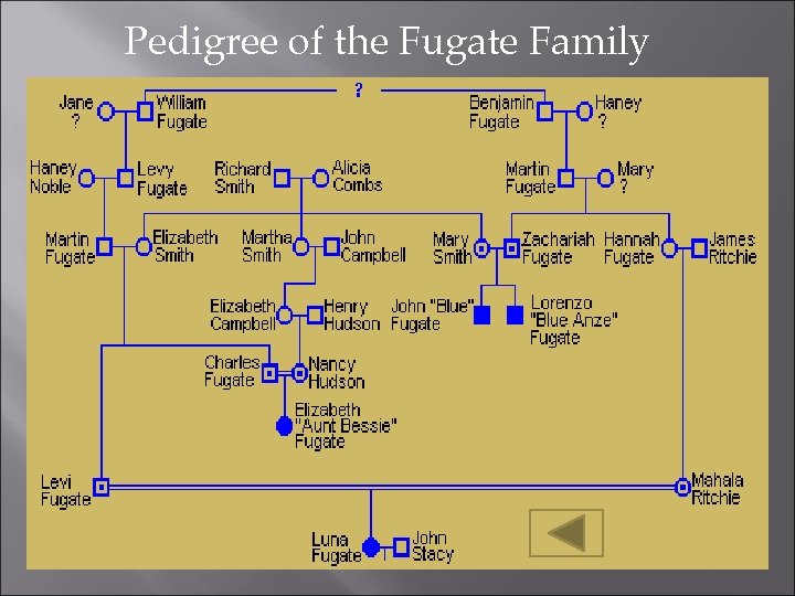 Pedigree of the Fugate Family 