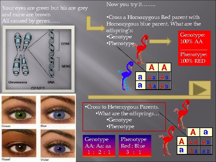 Your eyes are green but his are grey and mine are brown All caused