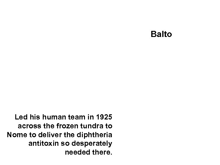 Balto Led his human team in 1925 across the frozen tundra to Nome to