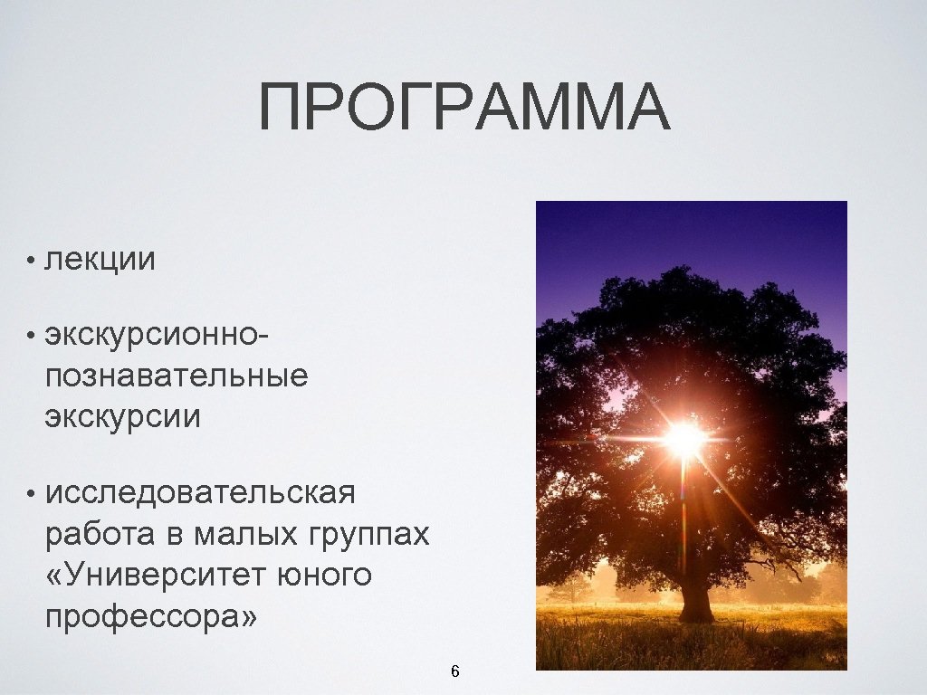 ПРОГРАММА • лекции • экскурсионнопознавательные экскурсии • исследовательская работа в малых группах «Университет юного