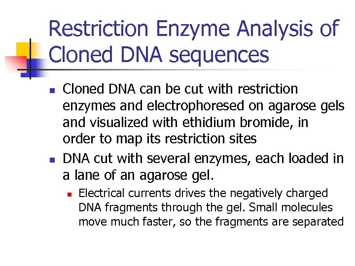 Restriction Enzyme Analysis of Cloned DNA sequences n n Cloned DNA can be cut