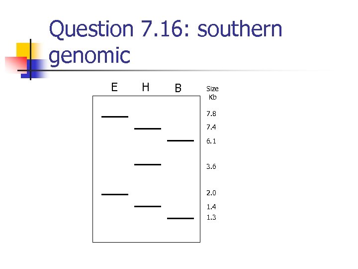 Question 7. 16: southern genomic E H B Size Kb 7. 8 7. 4