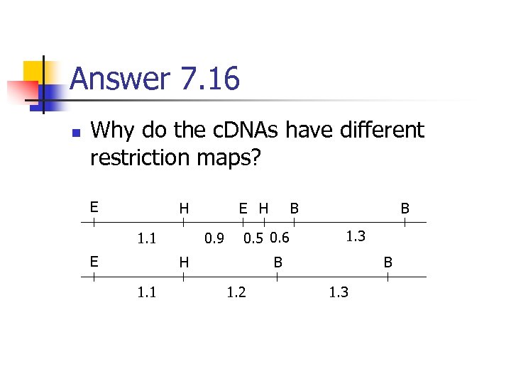 Answer 7. 16 n Why do the c. DNAs have different restriction maps? E