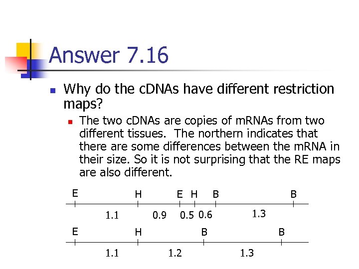 Answer 7. 16 n Why do the c. DNAs have different restriction maps? n