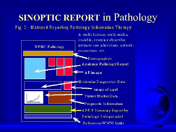 SINOPTIC REPORT in Pathology 