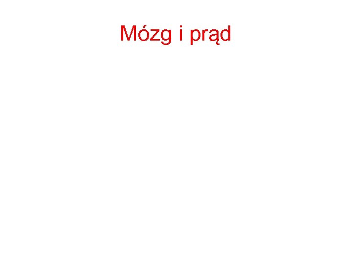 Mózg i prąd 