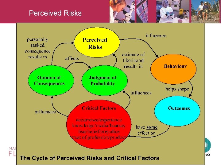 Perceived Risks 