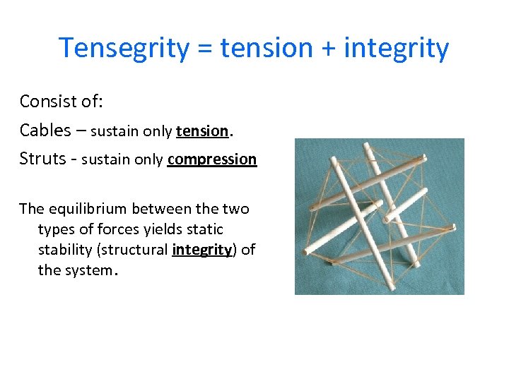 Tensegrity = tension + integrity Consist of: Cables – sustain only tension. Struts -