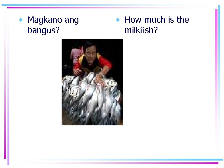  • Magkano ang bangus? • How much is the milkfish? 