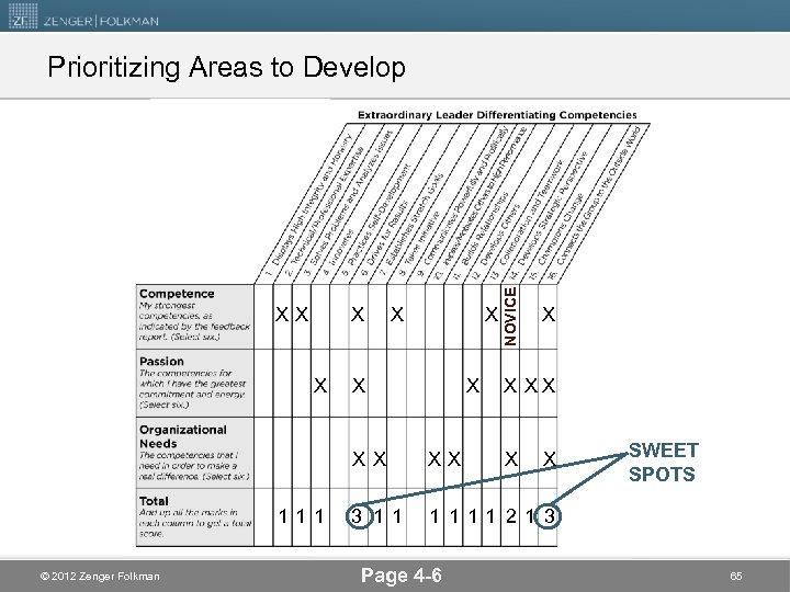 XX X X X NOVICE Prioritizing Areas to Develop X X X 111 ©