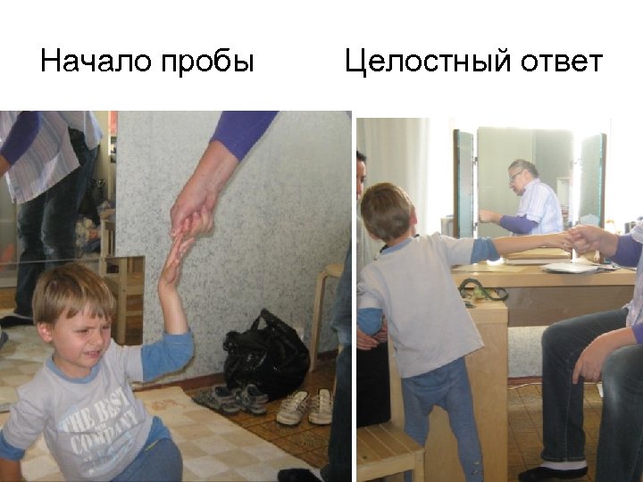 Начало пробы Целостный ответ 