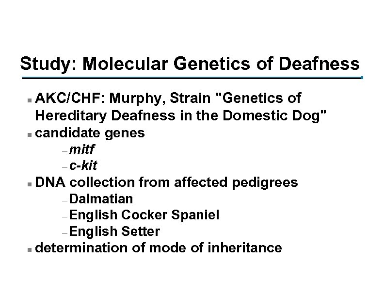 Study: Molecular Genetics of Deafness AKC/CHF: Murphy, Strain 