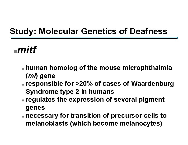 Study: Molecular Genetics of Deafness n mitf human homolog of the mouse microphthalmia (mi)
