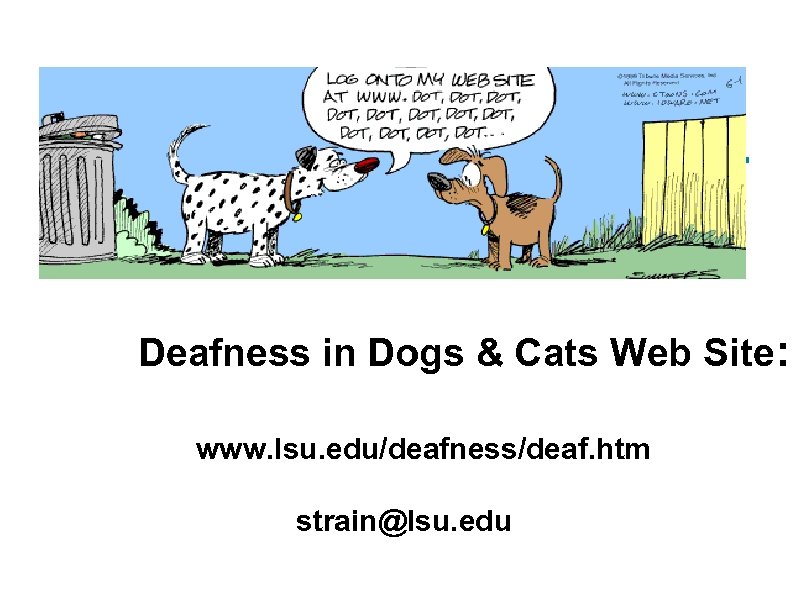 Deafness in Dogs & Cats Web Site: www. lsu. edu/deafness/deaf. htm strain@lsu. edu 