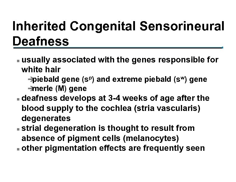 Inherited Congenital Sensorineural Deafness n usually associated with the genes responsible for white hair