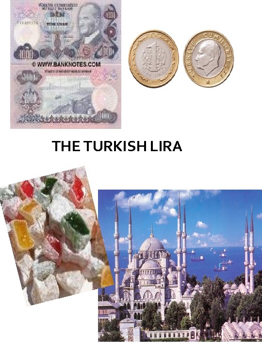 THE TURKISH LIRA 