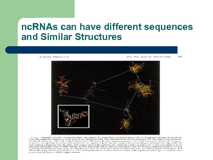 nc. RNAs can have different sequences and Similar Structures 