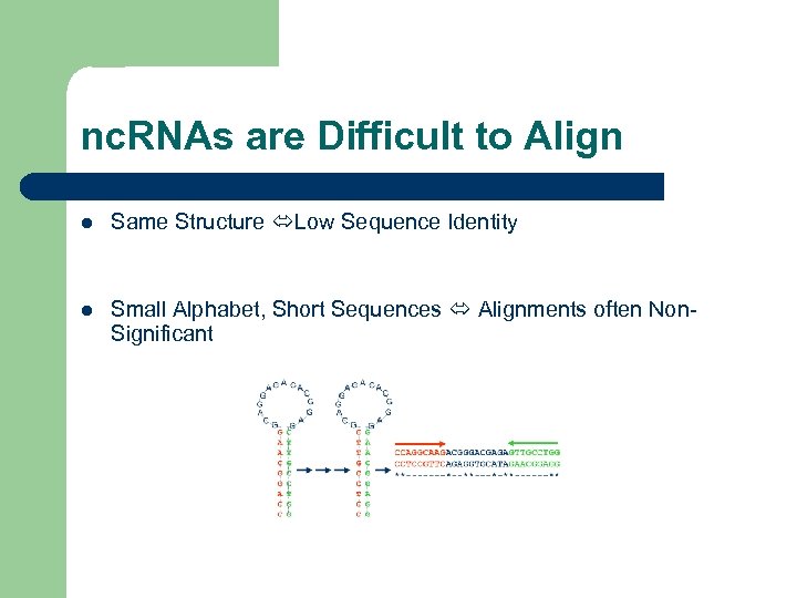 nc. RNAs are Difficult to Align l Same Structure Low Sequence Identity l Small