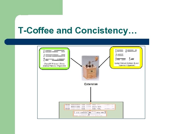 T-Coffee and Concistency… 