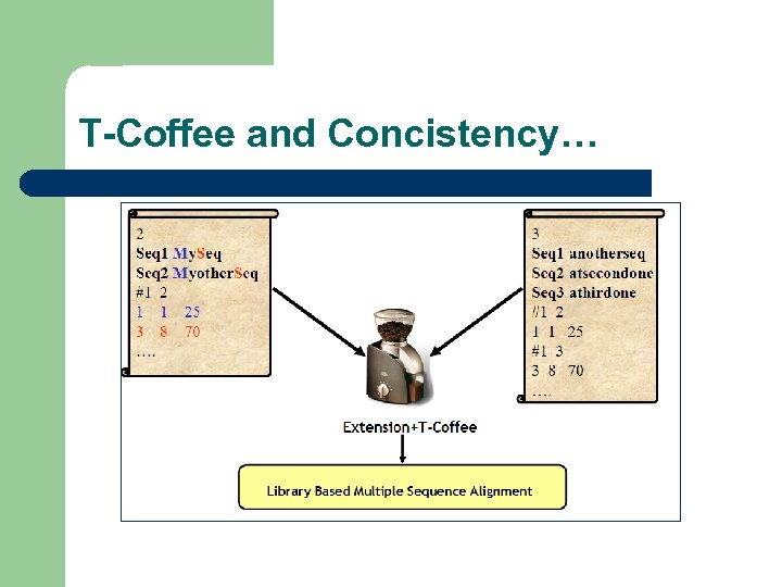 T-Coffee and Concistency… 