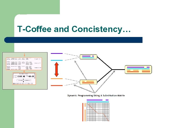 T-Coffee and Concistency… 