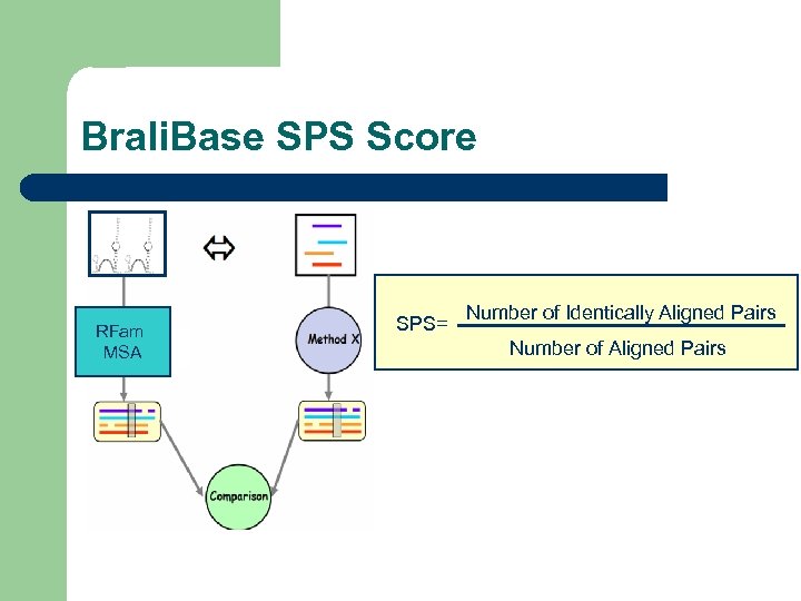 Brali. Base SPS Score RFam MSA SPS= Number of Identically Aligned Pairs Number of