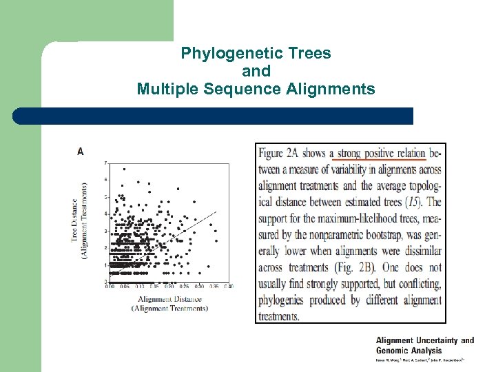 Phylogenetic Trees and Multiple Sequence Alignments 