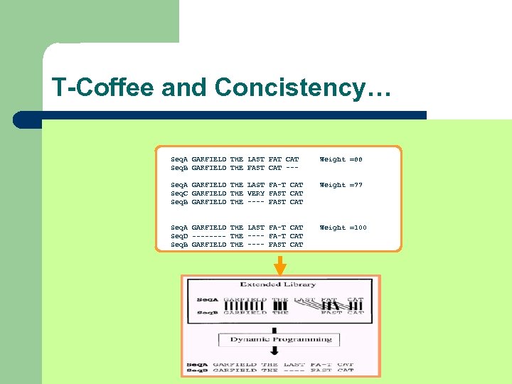 T-Coffee and Concistency… Seq. A GARFIELD THE LAST FAT CAT Seq. B GARFIELD THE