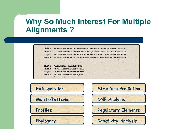 Why So Much Interest For Multiple Alignments ? Extrapolation Structure Prediction Motifs/Patterns SNP Analysis