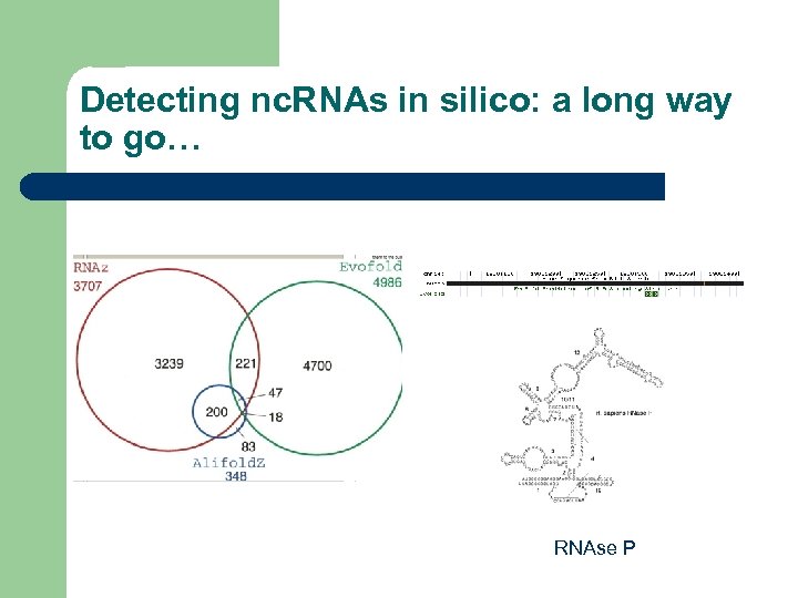 Detecting nc. RNAs in silico: a long way to go… RNAse P 