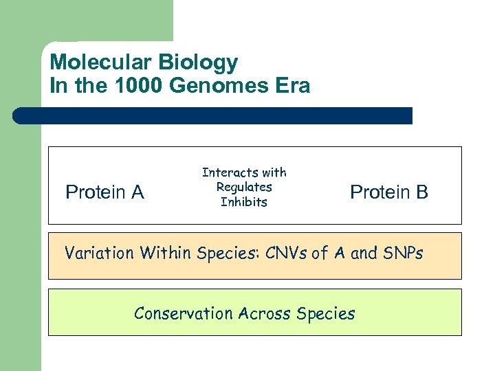 Molecular Biology In the 1000 Genomes Era Protein A Interacts with Regulates Inhibits Protein