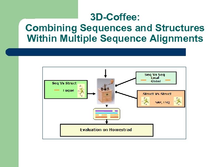 3 D-Coffee: Combining Sequences and Structures Within Multiple Sequence Alignments 