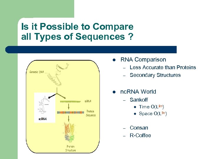 Is it Possible to Compare all Types of Sequences ? l RNA Comparison –