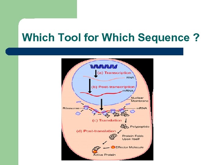 Which Tool for Which Sequence ? 