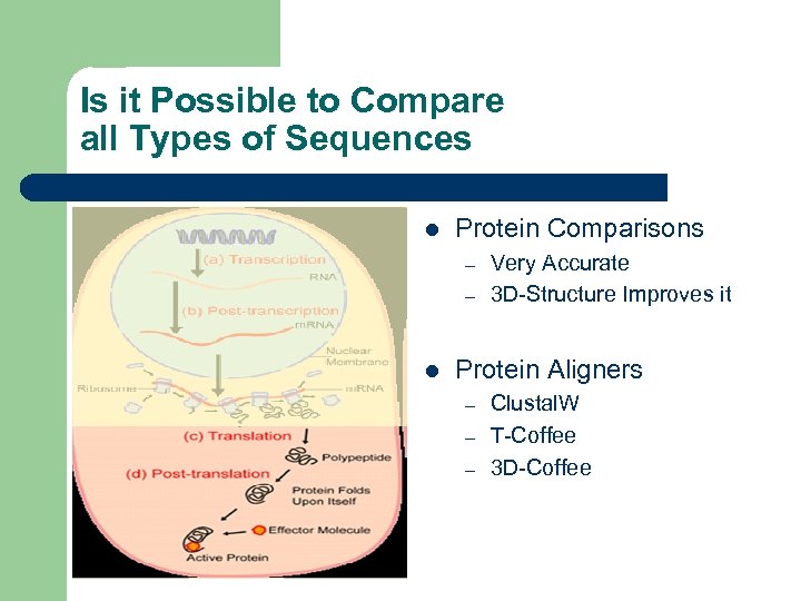 Is it Possible to Compare all Types of Sequences l Protein Comparisons – –