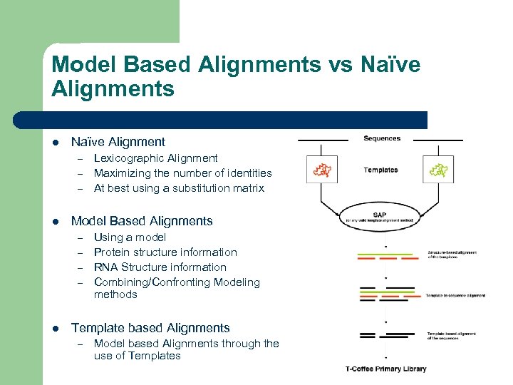 Model Based Alignments vs Naïve Alignments l Naïve Alignment – – – l Model