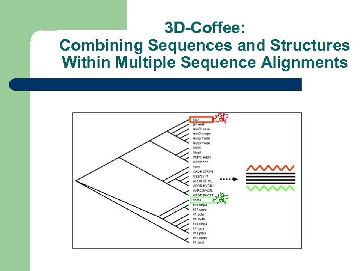 3 D-Coffee: Combining Sequences and Structures Within Multiple Sequence Alignments 
