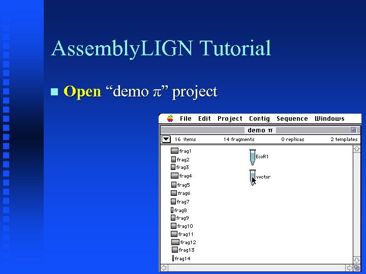 Assembly. LIGN Tutorial Open “demo π” project 