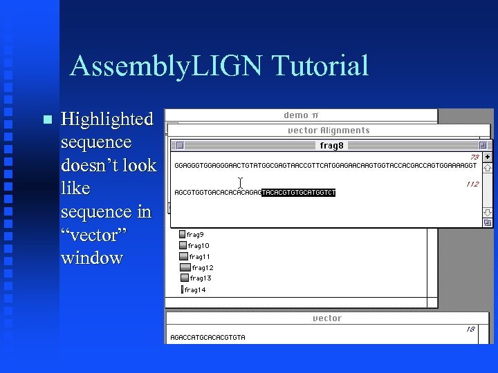 Assembly. LIGN Tutorial Highlighted sequence doesn’t look like sequence in “vector” window 