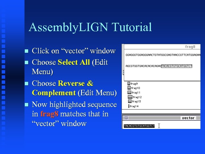 Assembly. LIGN Tutorial Click on “vector” window Choose Select All (Edit Menu) Choose Reverse