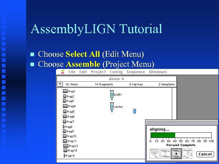 Assembly. LIGN Tutorial Choose Select All (Edit Menu) Choose Assemble (Project Menu) 