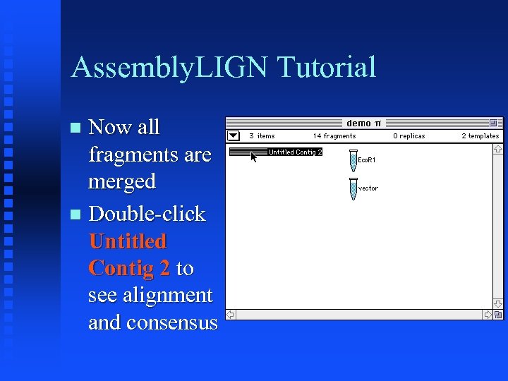 Assembly. LIGN Tutorial Now all fragments are merged Double-click Untitled Contig 2 to see