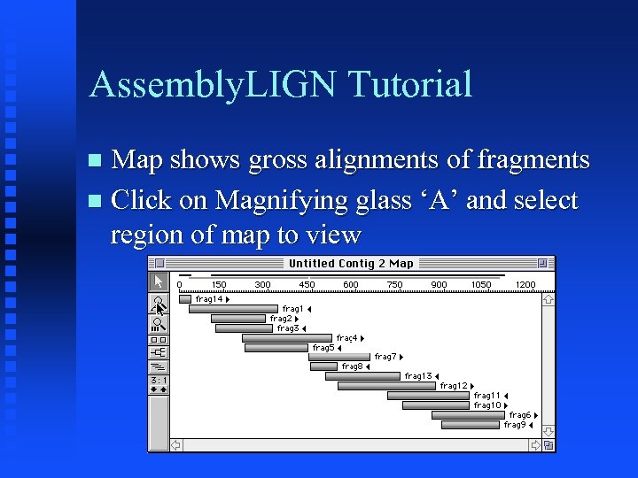 Assembly. LIGN Tutorial Map shows gross alignments of fragments Click on Magnifying glass ‘A’