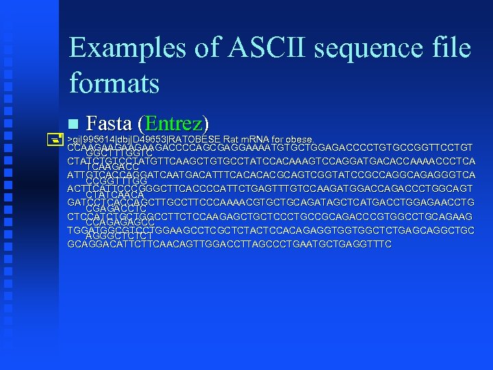 Examples of ASCII sequence file formats Fasta (Entrez) >gi|995614|dbj|D 49653|RATOBESE Rat m. RNA for