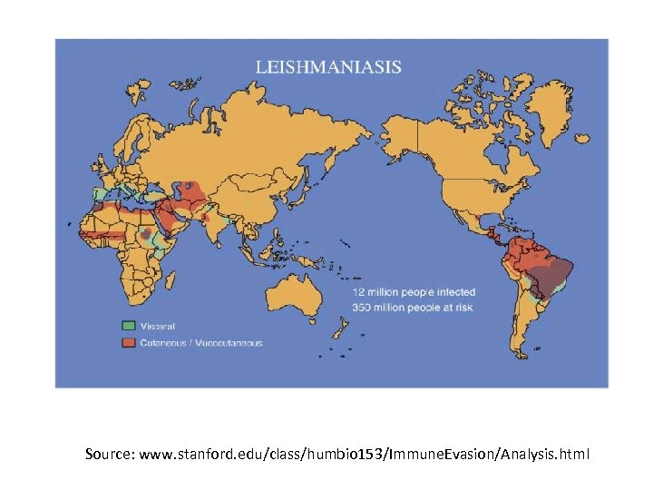 Source: www. stanford. edu/class/humbio 153/Immune. Evasion/Analysis. html 