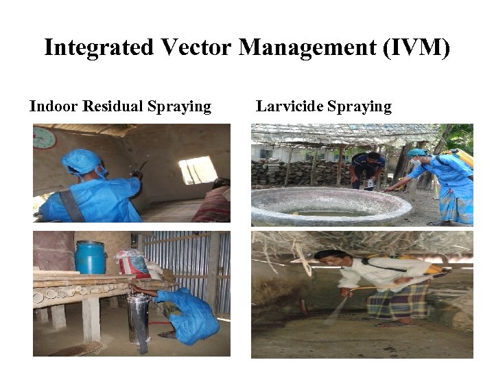 Integrated Vector Management (IVM) Indoor Residual Spraying Larvicide Spraying 