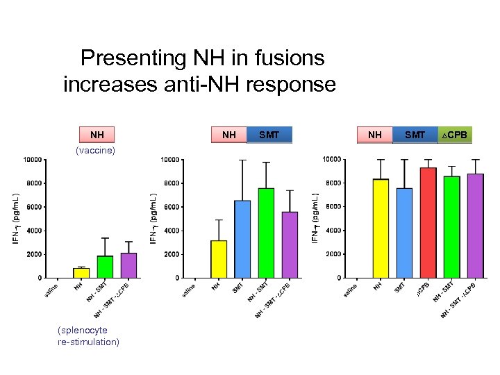 Presenting NH in fusions increases anti-NH response NH NH SMT ∆CPB (vaccine) (splenocyte re-stimulation)